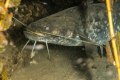 2019-11-14_Malerecke-25-von-28