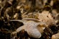 20190330_Malerecke-33
