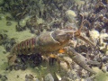 IMG_2622.CR2-001