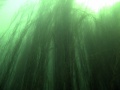IMG_2666.CR2_