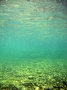 IMG_2753.CR2_