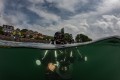 UW Foto Workshop Scuba Do - Bodensee