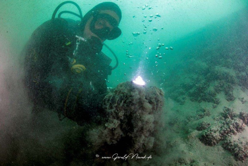 Bodensee Unterwasser Bilder