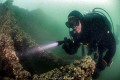 Bodensee Unterwasser Bilder
