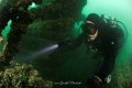 Bodensee Unterwasser Bilder